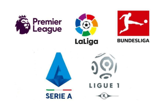 阵容以减轻 阵容以减轻